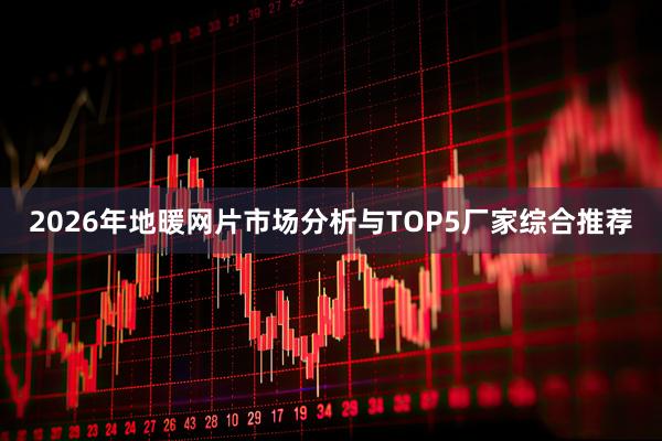 2026年地暖网片市场分析与TOP5厂家综合推荐