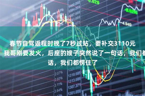 春节自驾返程时晚了7秒过站，要补交3110元过路费，我哥刚要发火，后座的嫂子突然说了一句话，我们都愣住了