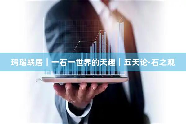 玛瑙蜗居｜一石一世界的天趣｜五天论·石之观